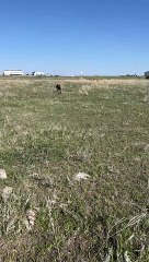 Pointer Doing Pointer Things