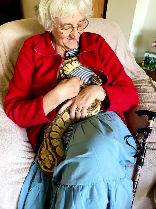 Even Snakes Snuggle