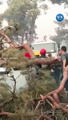 Çanakkale’de aracın üzerine ağaç düştü, bir itfaiye görevlisi yaralandı