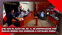 ¡VEAN! ¡PRI-ana, el gato del Sr. X., es despedazado por Robles Gómez por defender a Catalino Creel!