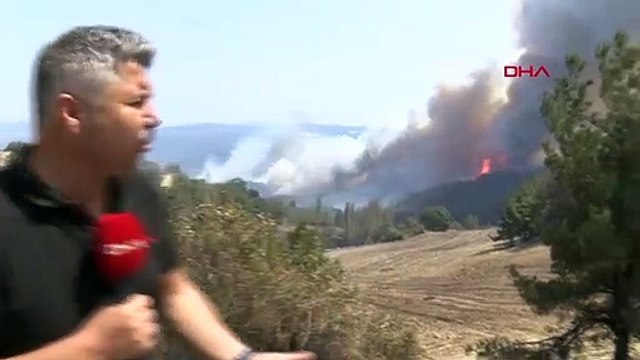 Les flammes augmentent à nouveau lors d'un incendie de forêt à Çanakkale