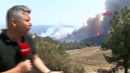 Les flammes augmentent à nouveau lors d'un incendie de forêt à Çanakkale