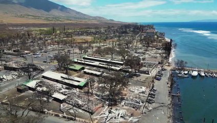 Autoridades cifran en al menos 1.100 los desaparecidos por incendios en Hawái