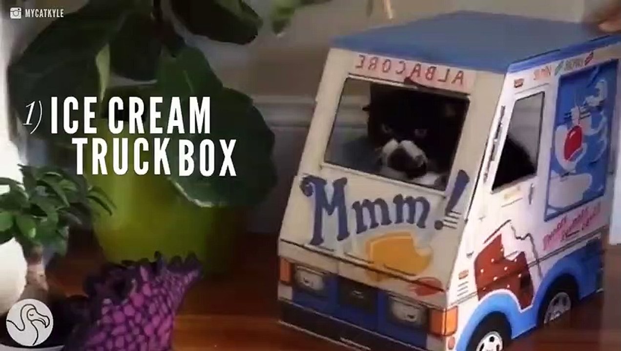 A Xmas Gift Guide For Cats