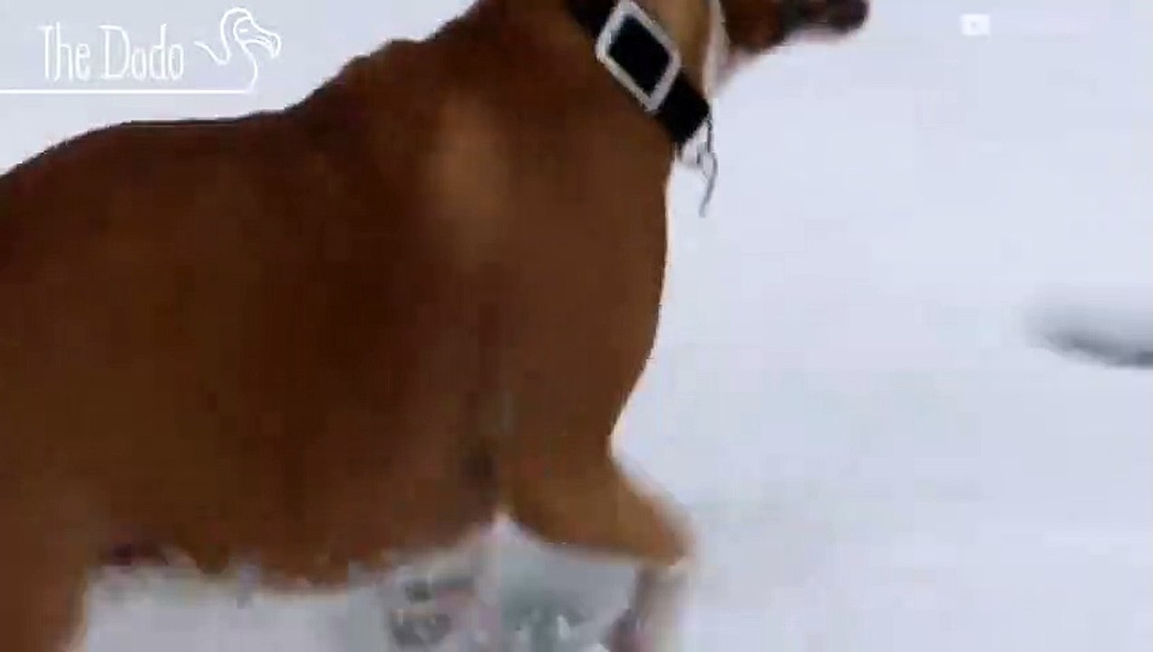Seeing Snow For The First Time (2)