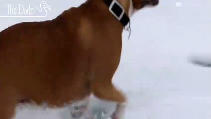 Seeing Snow For The First Time (2)