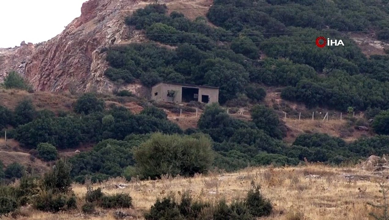 Meurtre d'une personne disparue à Izmir : des chiens ont retrouvé sa tête