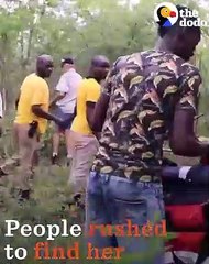 Baby Rhino Shot By Poachers Gets Rescued