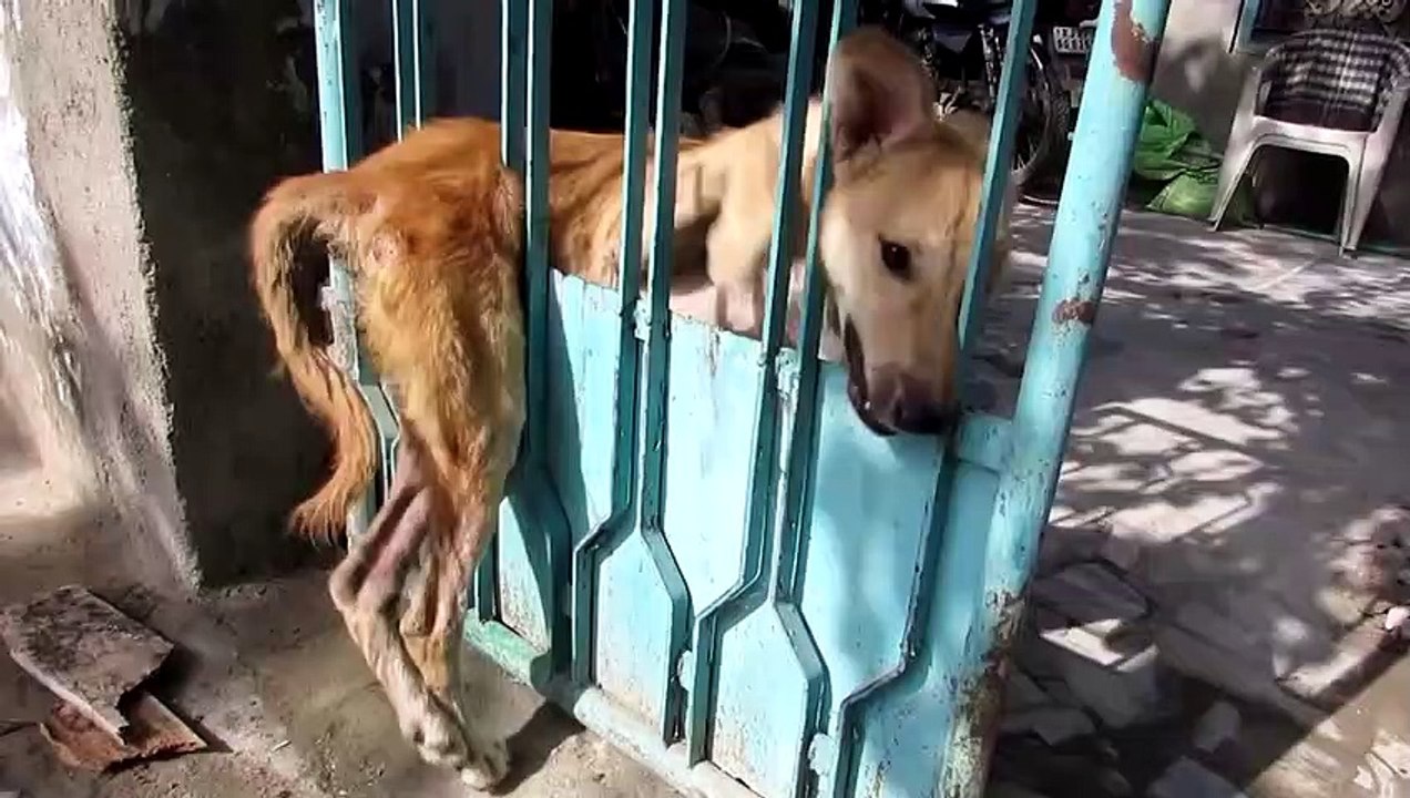 Because Everyone Needs A Hand Sometimes