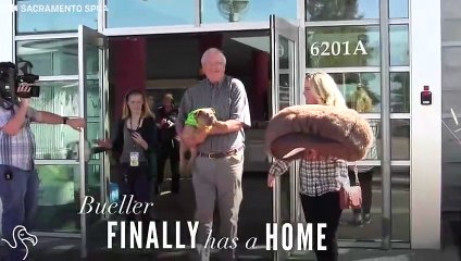 Bueller Finds Parents Who Will Never Give Up On Him