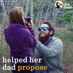 Cat Helps Dad Propose   The Dodo