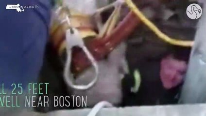 Dog Dad Leads Rescuers To His Puppy