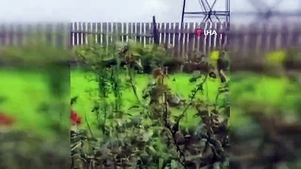 Paralı askeri grubu Wagner'den ilk açıklama: Kremlin ele geçirilecek