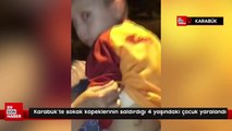 Karabük'te sokak köpeklerinin saldırdığı 4 yaşındaki çocuk yaralandı