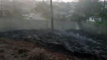 Bombeiros combatem incêndio em vegetação na Rua Vinícius de Moraes