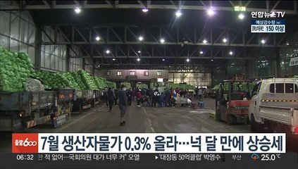 7월 생산자물가 0.3% 올라…넉 달 만에 상승세