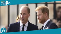 Princes William et Harry  Qui est Louis, ce cousin inconnu, beau gosse et richissime, qui leur vole