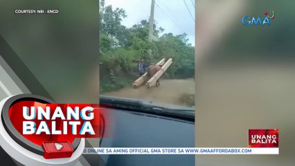 Ilegal na pagpuputol ng mga puno sa bundok sa Quezon, bistado; Apat, arestado | UB