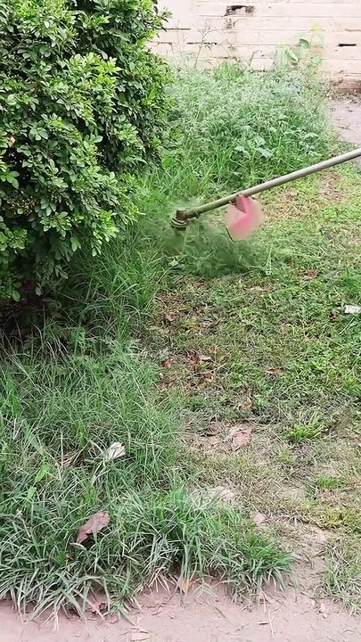 Memotong rumput