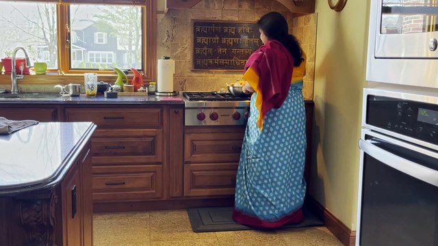 Alien: A Documentary about legal, high-skilled immigrants in the US | movie | 2023 | Official Trailer