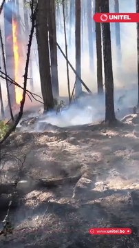 Tras incendios forestales en distintas zonas del país, aquí te dejamos cuales son los síntomas y recomendaciones para evitar afectaciones en la salud