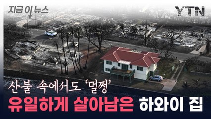 폐허 속 멀쩡...살아남은 하와이 빨간 지붕 집의 비밀 [지금이뉴스] / YTN