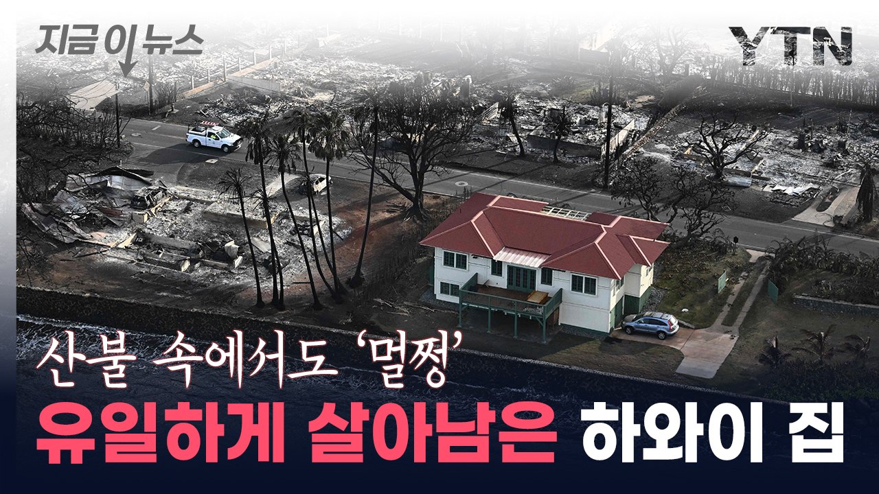 폐허 속 멀쩡...살아남은 하와이 빨간 지붕 집의 비밀 [지금이뉴스] / YTN