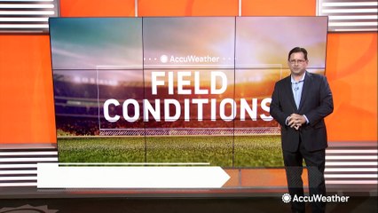 Your cross-country Aug. 24 sports forecast