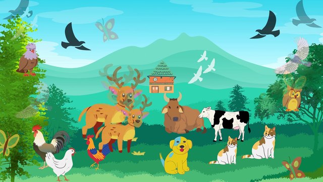 Video animasi - hutan - hewan hewan