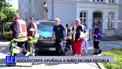 Joven apuñala a niño en Alemania y después se prendió fuego