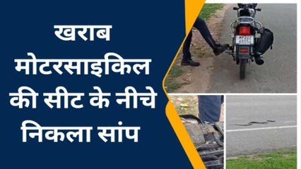 झांसी: बाइक की सीट के नीचे निकला सांप, मचा हड़कंप
