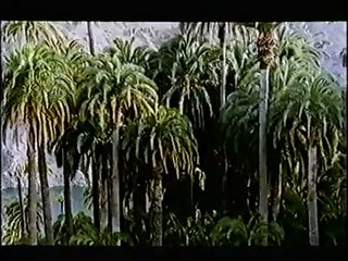 Animales racionales Bande-annonce (EN)