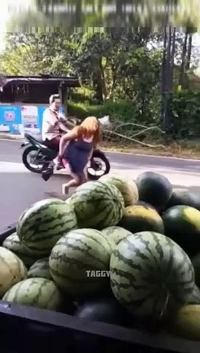 Funny Shorts
