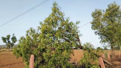 दूर हो रहे उम्मीदों के बादल...