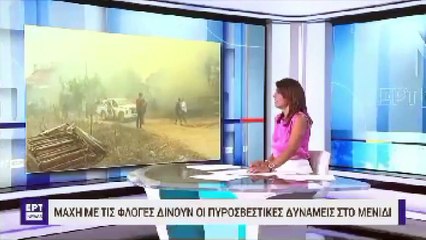 Yunan spikerin skandal açıklaması: Kömürleşmiş göçmenler dışında hiçbir insanımızı kaybetmedik