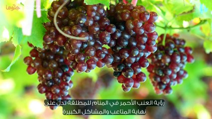 معنى العنب الأحمر في المنام للمطلقة