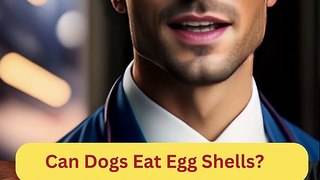 Can Dogs Eat Egg Shells | Dog Food Review | Zudaan