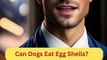 Can Dogs Eat Egg Shells | Dog Food Review | Zudaan