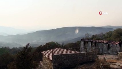 Çanakkale'deki orman yangınına havadan müdahale devam ediyor
