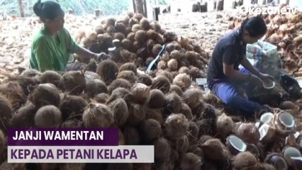 Wamentan Janji Beli Kelapa Petani, Harga di Tanjab Barat dan Riau Anjlok
