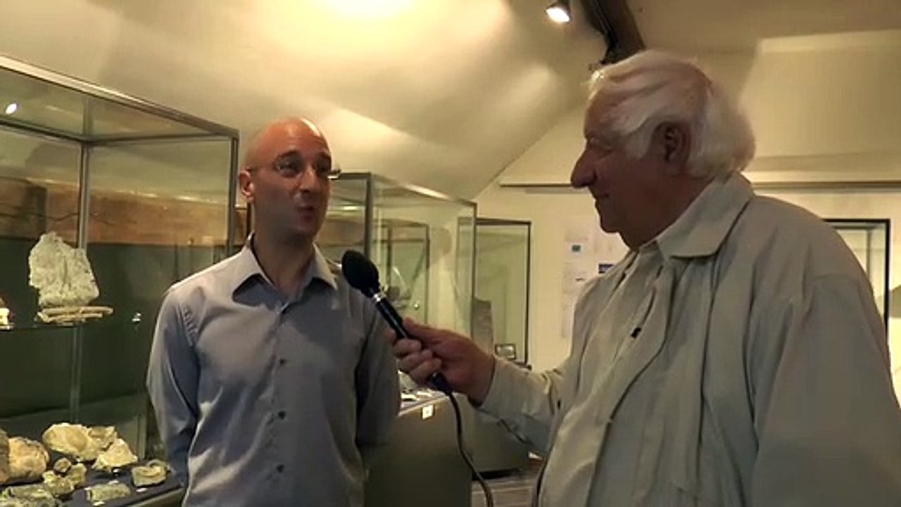 Exposition , le paléozoïque