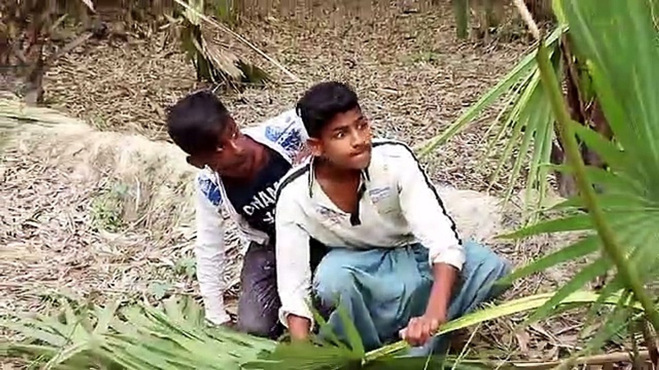 Funny video viral video