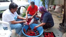 Balıkesir'de İmece Geleneğiyle Kışlık Yiyecek Hazırlığı