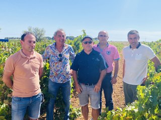 Pinet : insectes ravageurs, le département se distingue par son engagement en faveur de l’innovation agricole