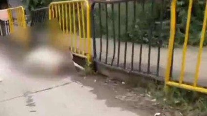 लखनऊ: नेशनल हाईवे पर पांच गौवंश की मौत, वीडियो वायरल