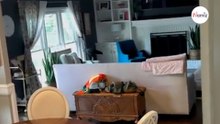Coppia entra in casa quando nota qualcuno in agguato nel salotto (Video)
