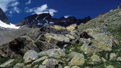Bergsteigerin reißt Tourenführer mit in den Tod