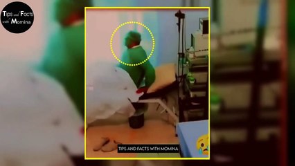 Maut Se Pahle Ka Video Camere Mein Record | Maut Ka Farishta | Moments Before Death