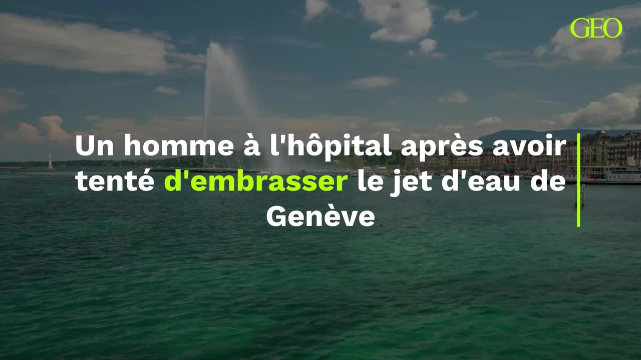 Après avoir tenté d'embrasser le jet d'eau de G...