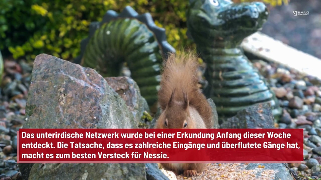 Ungeheuer von Loch Ness: Geheimes Versteck entdeckt?